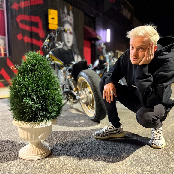 Meet your Posher, Zane - Picture 1 of 1